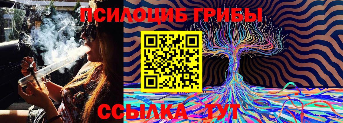 Клинцы  Галлюциногенные грибы Magic Shrooms  Вход с VPN  Галлюциногенные грибы Cubensis 